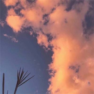 大梦江湖手游官方下载